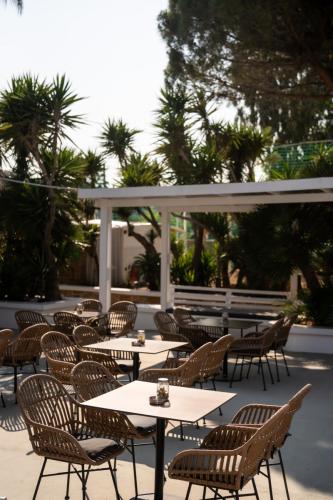 BW-boho-resort-hotel-pool-bar-1 (1)